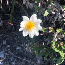IMG-20190501-WA0003 IMG-20190501-WA0003